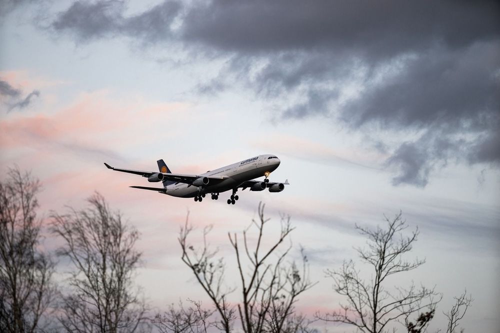 Plane coming in for a landing over trees