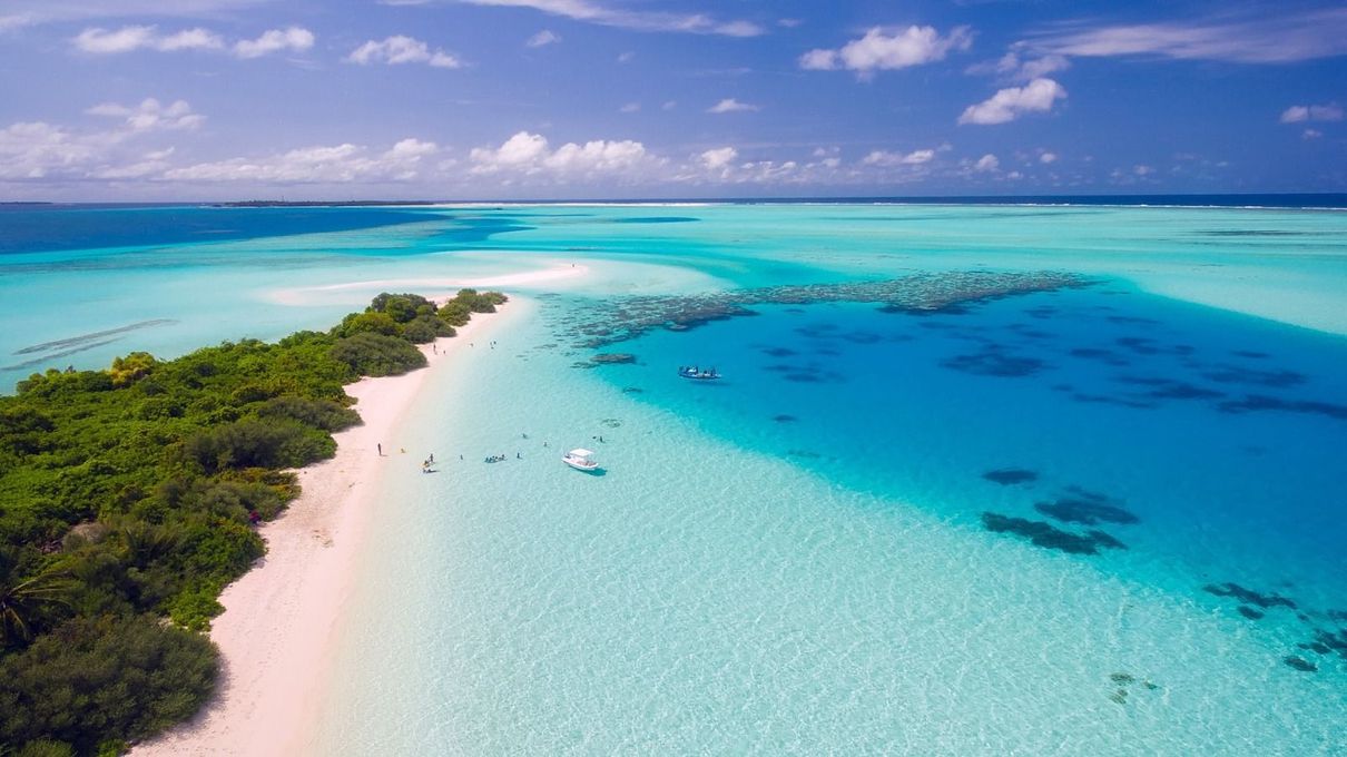 Picture of an Ocean and beach